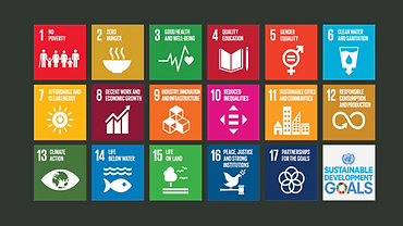 United Nations Sustainable Development Goals provide framework beyond ...